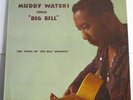 Muddy Waters 