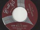 Rockabilly / Teen 45 - BARRY DARVEL - Geronimo Stomp / How Will It End