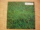 LIVING MUSIC TO ALLEN GINSBERG  RCA 1973 LP PROMO COPY
