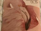 Christopher Cross - Another Page VINYL LP ALBUM NEW SEALED 1983 WARNER BROS. REC