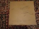 Vic Chesnutt / Skitter On Take-off / Vinyl LP / First Press / VG+