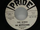 The Motivations-The Birds/Motivate-Pride 301-SURF WLP PROMO GREAT COPY