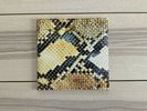 The Amazing Snakeheads / Amphetamine Ballads / Vinyl LP