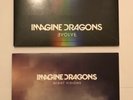 imagine dragons vinyl/nightvision+Evolve