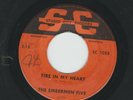 GARAGE ROCK - the EMBERMEN FIVE - FIRE IN MY HEART- HEAR -1966 MN. STUDIO CITY