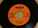 The Clouds moody pop psych Belleville IL rock 45 Sandy Castles on Northland
