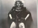 Madonna MDNA Live Picture Disc