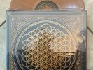 Bring Me The Horizon - Sempiternal - Vinyl 2013 - 1st Press Brown Smoke OOP Rare