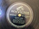 CAJUN HAPPY FATS RAYNe-Bo Ramblers Vi 202034 COOSH Mal/Valse de Bosco E+