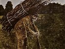 Vtg LED ZEPPELIN IV 4 Album ZOSO Record 1973 PRESSING Vinyl Lp OG EXCELLENT
