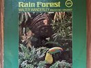 Rain Forest Walter Wanderley Verve Records Vintage 1966 Vinyl Record GC+