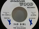 GALLAHADS Sad Girl / Keeper Of Dreams 1965 White Label Promo 7