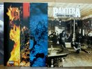 PANTERA Colored Vinyl BUNDLE 5-LP LIMITED EDITION Record Set BRAND NEW & SEALED