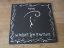 ANTISECT - In Darkness There Is No Choice LP (Vinyl, Anarcho-Punk, Crust)