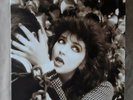 KATE BUSH REMASTERED IN VINYL 1 . 4 VINYL ALBUMS  BOX SET MINT CONDITION 2018