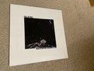 Full Of Hell Roots Of Earth Are Consuming My Home Vinyl ORANGE   LP