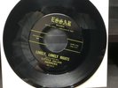 Little Julian Herrera Lonely Lonely Nights SR -1012 RARE 45 1963 Vinyl ESSAR