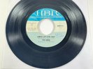 1966 THE HOGS CHOCOLATE WATCHBAND LOOSE LIP / BLUES THEME PROD BY PHANTOM ZAPPA