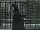 Neil Young ‎– After The Gold Rush (Gatefold) VINYL LP NEW & SEALED