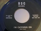 RARE TOP DETROIT  NORTHERN SOUL R&B  BETTY LLOYD BSC RECORDS I'M CATCHING ON