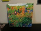 Jhené AIko - Trip 2x Vinyl LP Translucent Orange RARE