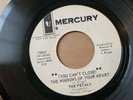 The Petals You Can't Close The Windows Of Your Heart 1967 Northern Soul PROMO 45