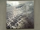 Fleet Foxes - Shore (Crystal Clear 2-LP Vinyl Record) *W/ POSTER & PRINT*
