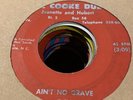 Wise Va Bluegrass HILLBILLY Gospel 45 The COOKE DUET - Ain’t No Grave VG lt warp