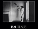 Bauhaus - In The Flat Field UK 2018 4AD Remastered Bronze Vinyl LP *Sealed*