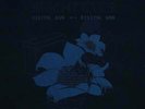Bright Eyes - Digital Ash In A Digital Urn 2xLP vinyl NEW