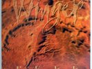 WINGER PULL BRAZIL 1993 FIRST PRESS LP PROMO GOLD STAMP WITH INSERT ATLANTIC