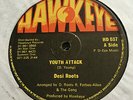 Desi Roots ‎– Youth Attack (12