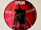 PEARL JAM 'Ten' PICTURE DISC  Very RARE and SCARCE  In GREAT Condition