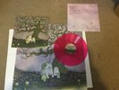 J mascis LP tied to a star  sub pop loser edition