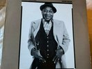 Muddy Waters, Hard Again vinyl LP, 1977