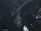 Cocteau Twins ‎- The Pink Opaque LP - 180 Gram Vinyl Album - Wax And Wane Record