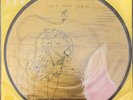 Yeah Yeah Yeahs - Gold Lion - 7” Picture Vinyl - New / Unplayed