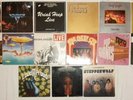 Van Halen, Deep Purple, Nazareth u.  andere 15 diverse Vinyl LPs
