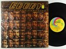 Ebony Rhythm Funk Campaign - S/T LP - Uni Shrink