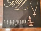 Big L- The Big Picture LP (1974-1999) Rawkus , Guru, Big Daddy Kane, Fat Joe