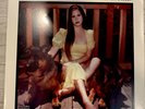 Blue Banisters by Lana Del Rey Vinyl Record New & Sealed