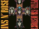GUNS'N'ROSES - APPETITE FOR DESTRUCTION - REISSUE 2LP VINYL