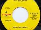 Sons Of Liberty 