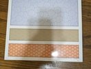 Streetlight Manifesto Somewhere In The Between VINYL LP