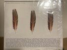 The Appleseed Cast Low Level Owl: Volumes I + II Silver Limited Edition 3XLP
