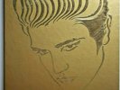 Elvis Presley - Golden Celebration Box Set (6x Vinyl LP RCA CPM65172 1984) NM/EX