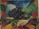 LP - 1991 - Ligabue – Lambrusco Coltelli Rose & Pop Corn - 9031 75269-1