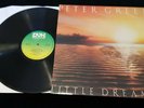 PETER GREEN Little Dreamer LP UK 1st Press PVK 1980  EX+