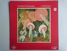 THE MUTUAL UNDERSTANDING IN WONDERLAND NIMBUS 9 NNS-101 CANADIAN