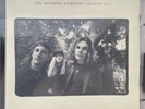 Rotten Apples: Greatest Hits by Smashing Pumpkins 2LP Vinyl Made In EU IMPORT
